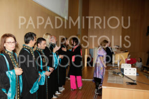 IMG947