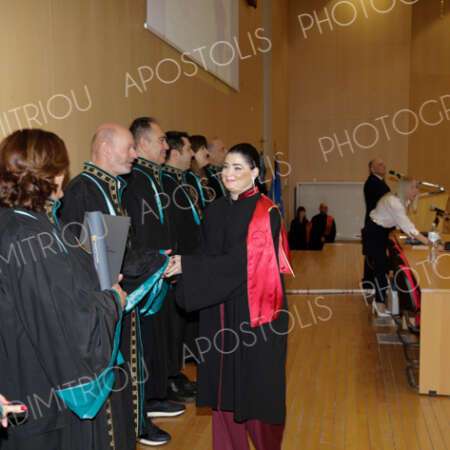 IMG1141